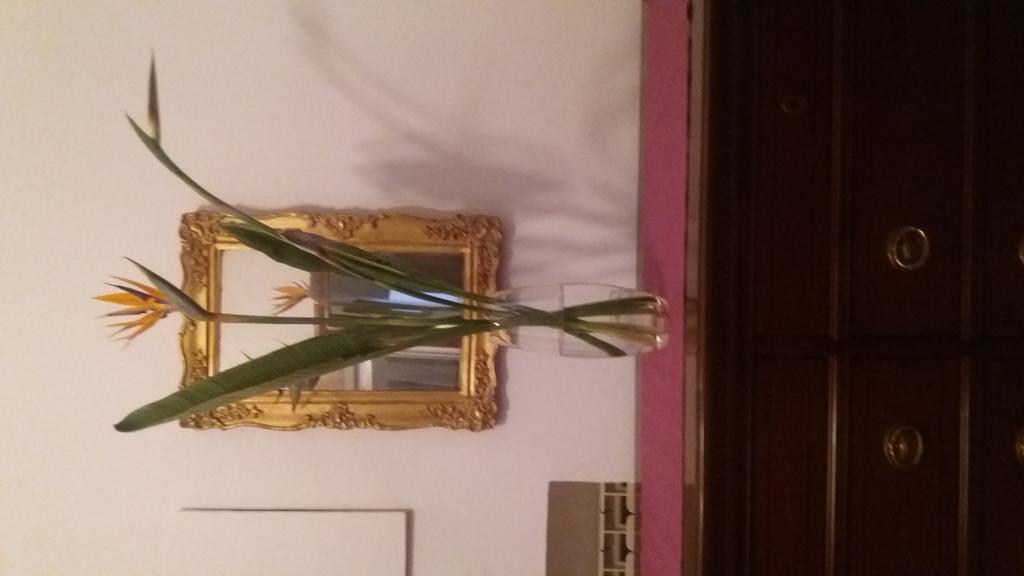 Guest House Il Marchese Del Grillo Rome Exterior photo